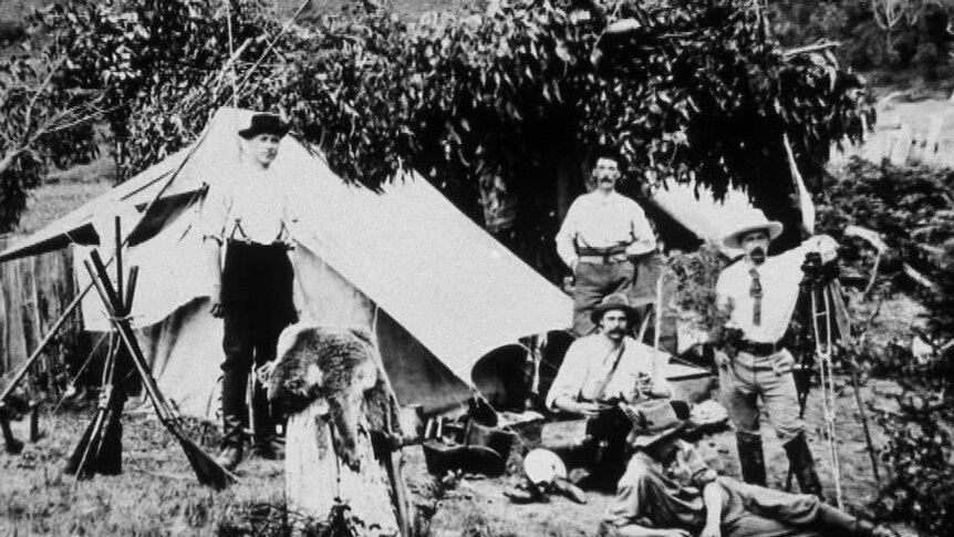 1927 photo of koala hunters at a campsite.