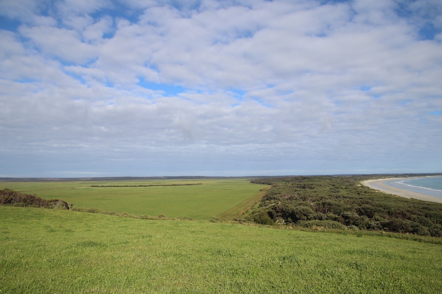 A landscape view, with a beach in the background.