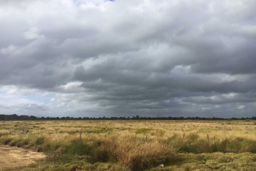 Eden farms clouds