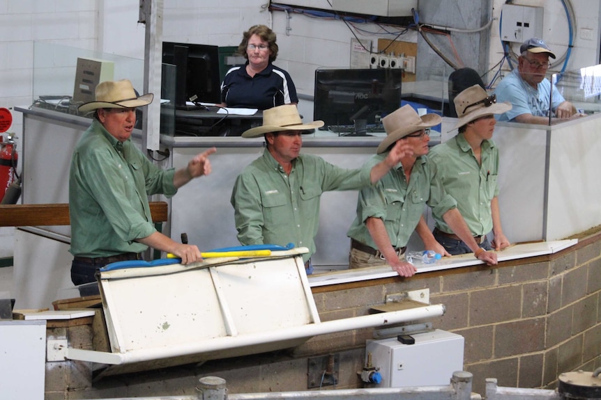 Four mean wearing green shirts taking bids from buyers at the cattle sale.
