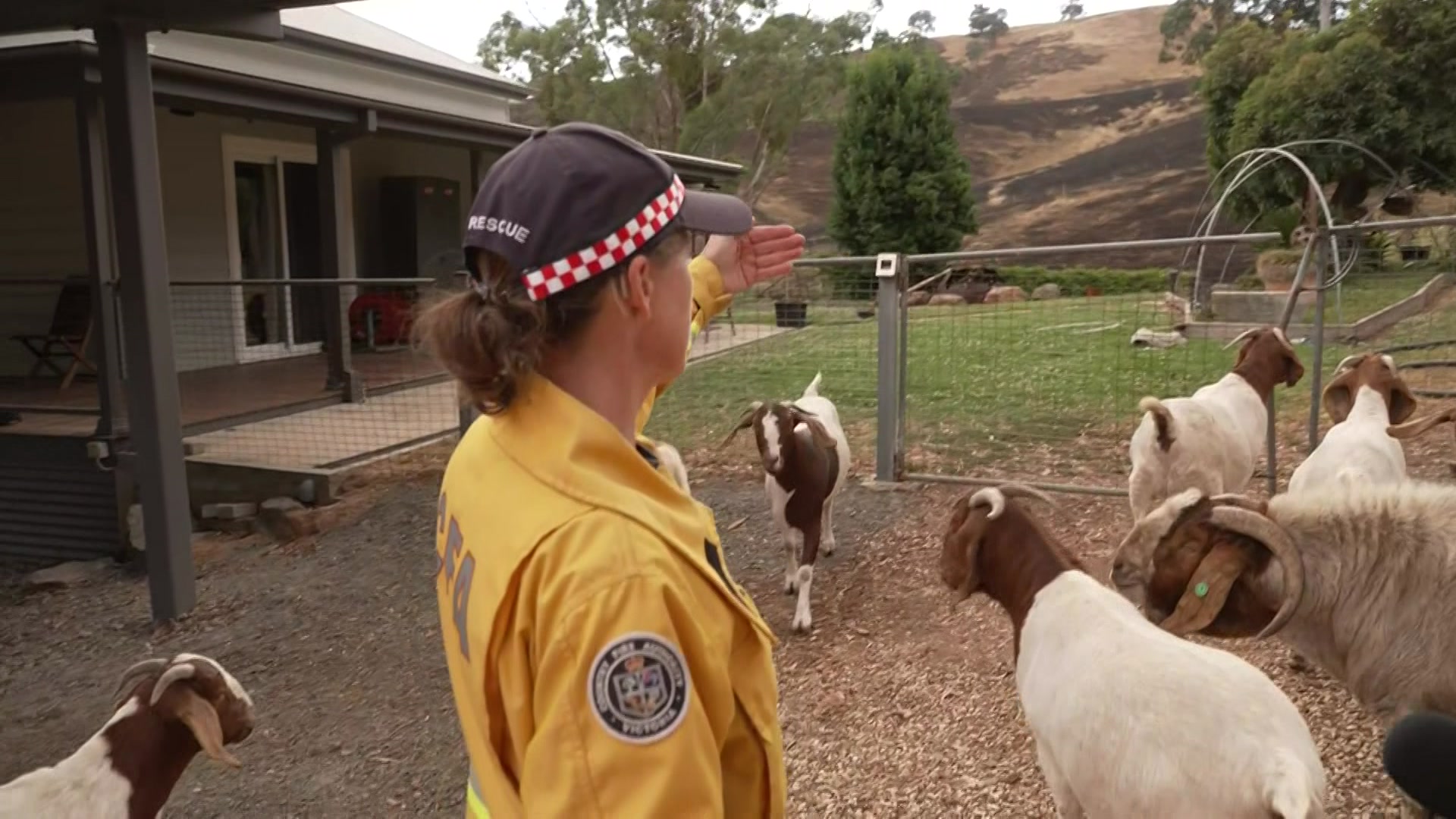 Christina Irvine se encuentra frente a las cabras y su casa.