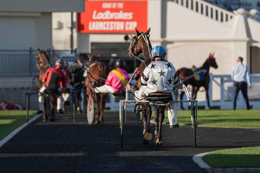 Horses in harnesses walk down a path at a racecourse.