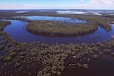 A bendy river with trees from the air