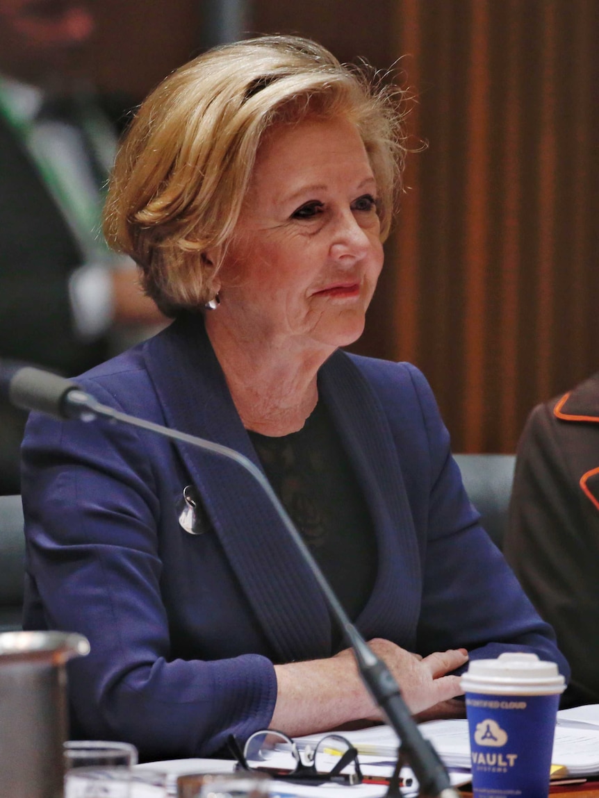 Human Rights commissioner Gillian Triggs facing questions during Senate Estimates hearings.