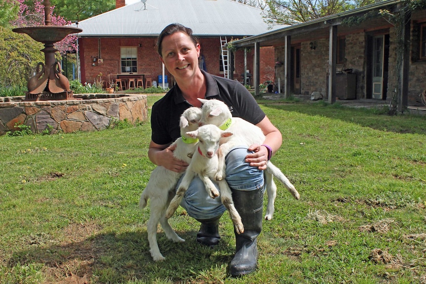A woman on a farm with goat kids.