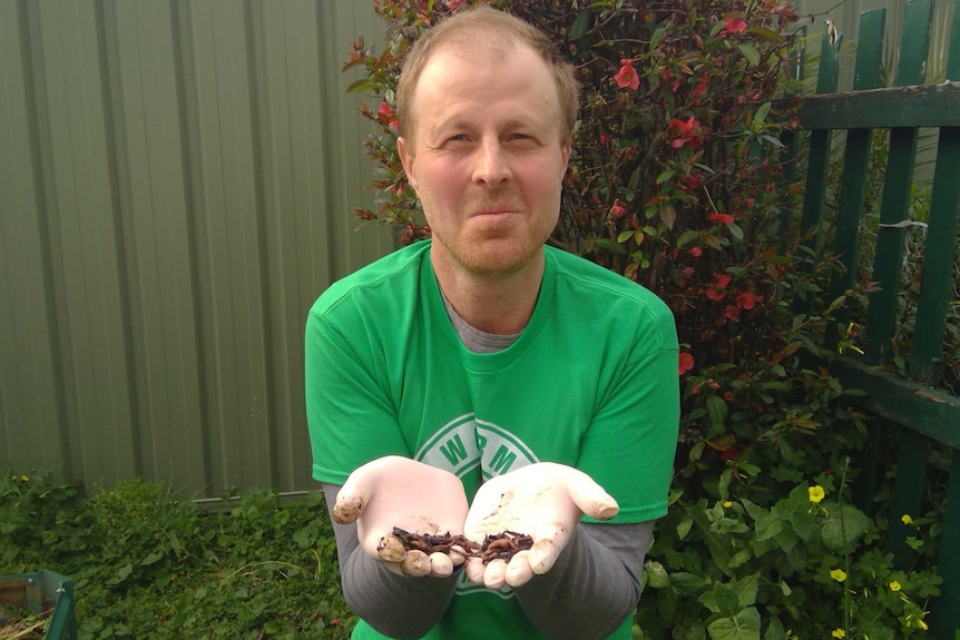 man with green shirt wears gloves in garden holding handful of worms