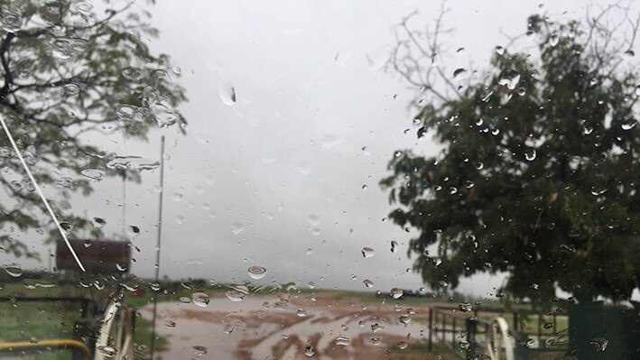 A white ute drives out of a farm gate near Boulia, as rain falls on the windscreen.