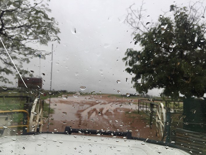 A white ute drives out of a farm gate near Boulia, as rain falls on the windscreen.