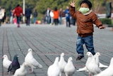 A boy chases pigeons at a public park in Shanghai.