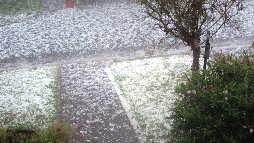 Hail covers the garden of a home in the Melbourne suburb of Eltham.