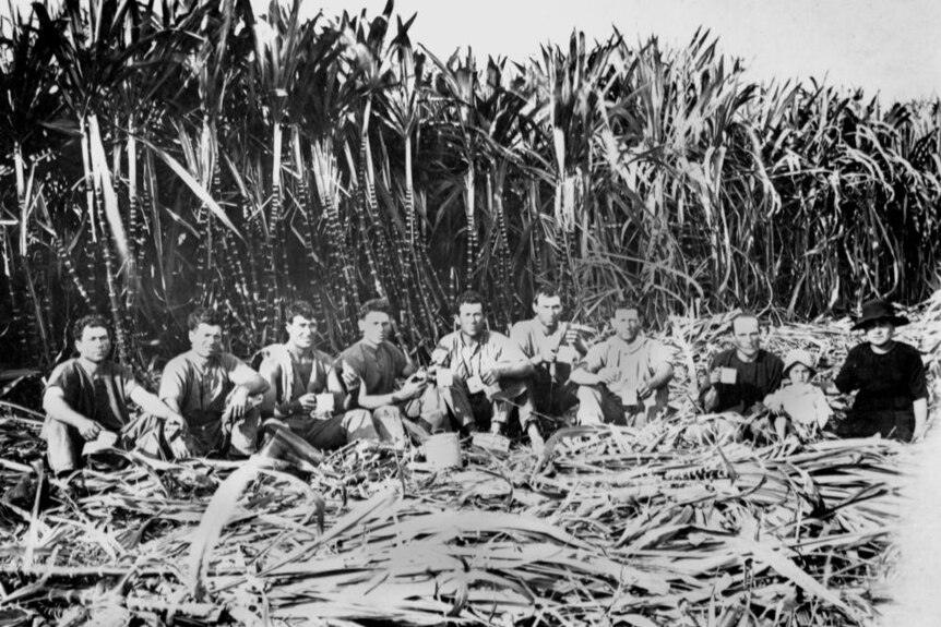 1923年，昆士兰州因尼斯费尔的意大利甘蔗收割工正在休息。