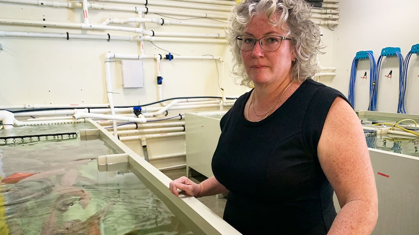 Sonia Einersen stands beside a tank with large fish swimming in it.