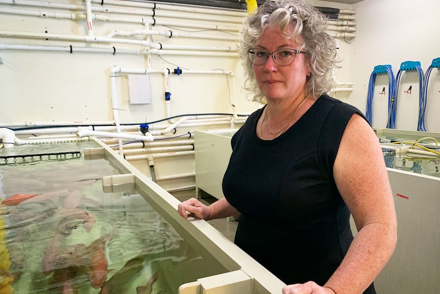 Sonia Einersen stands beside a tank with large fish swimming in it.