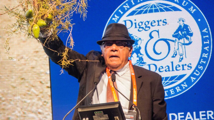 Indigenous man stands at a lectern holding a bunch of native vegetation in front of a screen with the Diggers and Dealers logo.