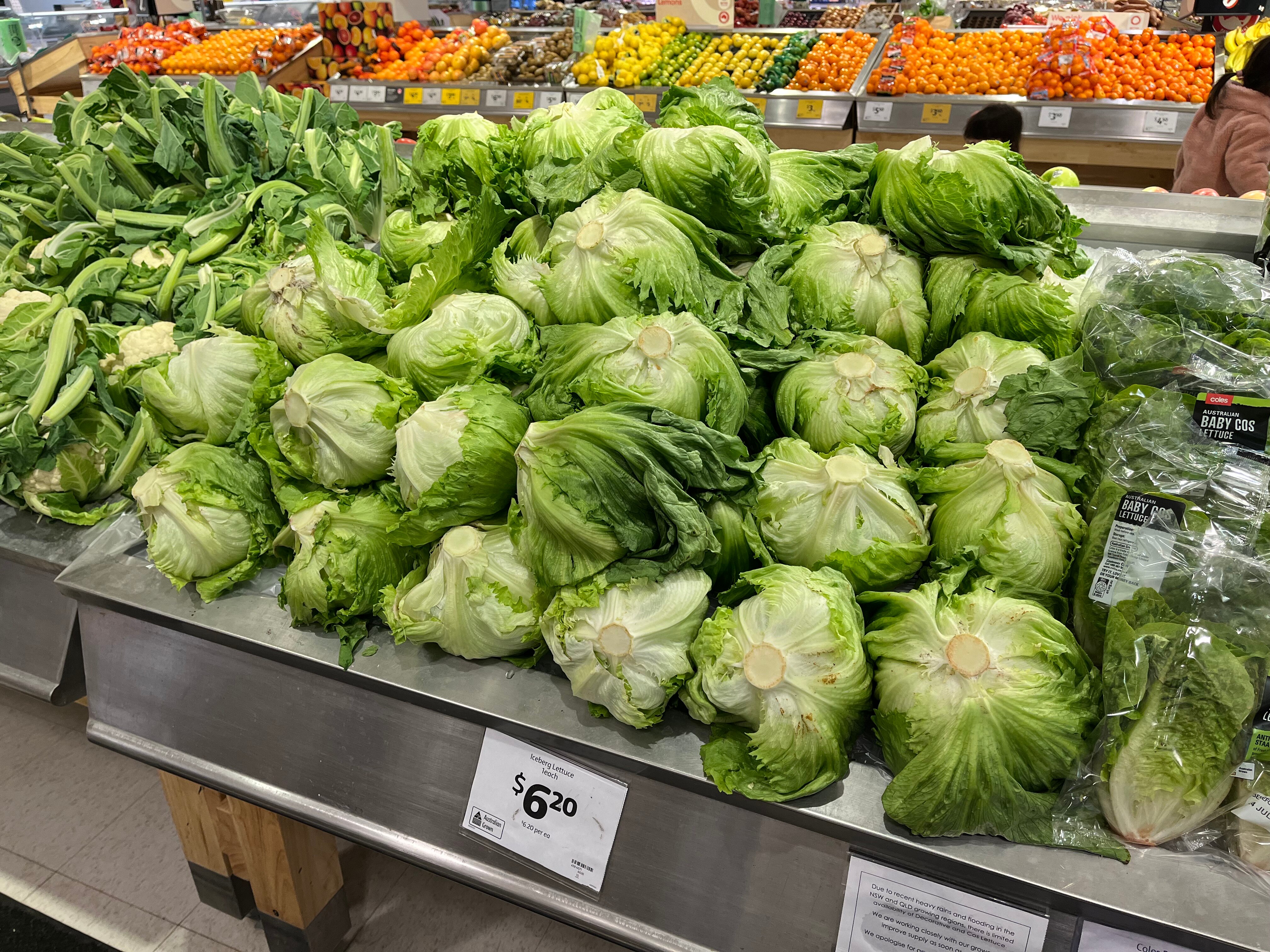 Lettuce prices to fall as production lifts in floodhit growing regions