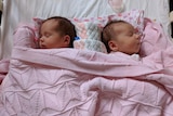 Twins, Adaline and Ida Williams, lying next to each other asleep in pink blankets