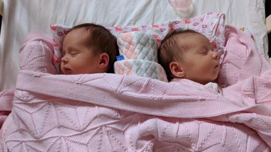 Twins, Adaline and Ida Williams, lying next to each other asleep in pink blankets
