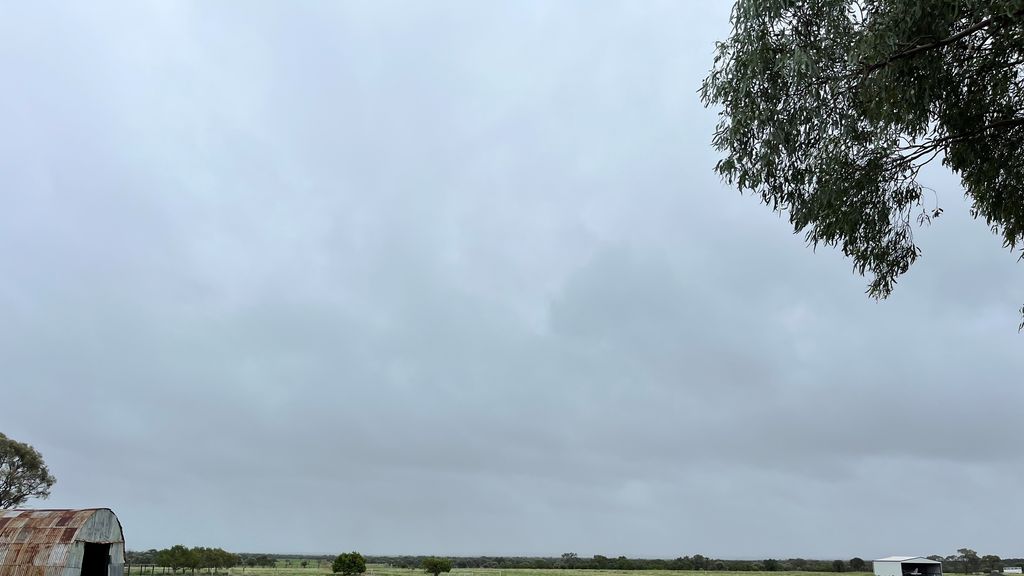 Hughenden grazier waiting for Ex TC Kirrily to bring rain - ABC News