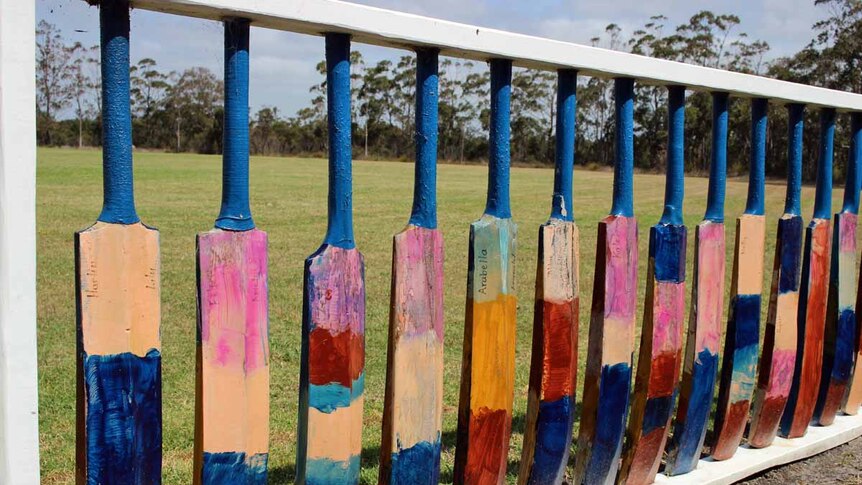 Cricket bat fence