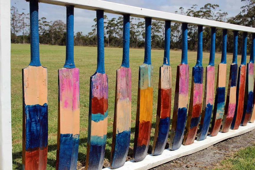 Cricket bat fence