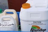 Glyphosate, sold as Roundup.
