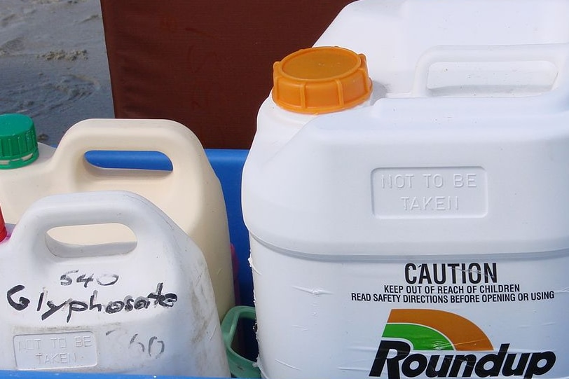 A white bottle marked glyphosate sits in a blue container beside a bottle labelled Roundup