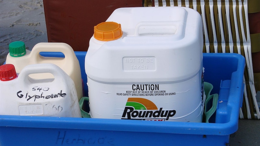 Glyphosate, sold as Roundup, sits in containers.