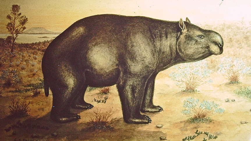 diprotodon