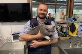 A vet in a check shirt holds a grey cat