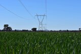 Productive cropping land with powerlines running through it is now being earmarked for large scale renewable projects.