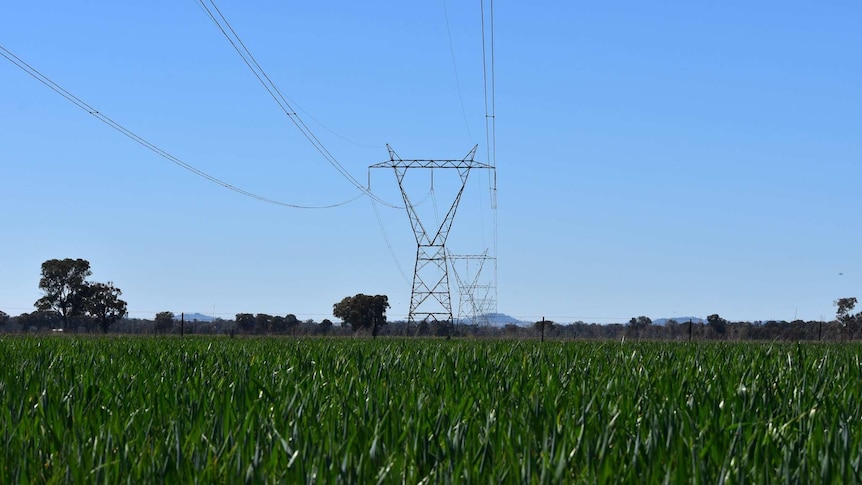 Productive cropping land with powerlines running through it is now being earmarked for large scale renewable projects.