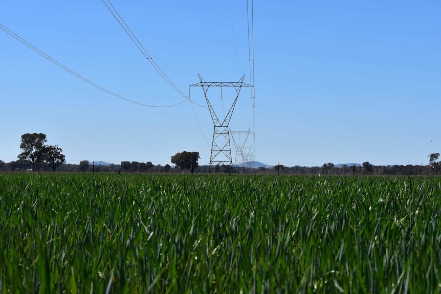 Productive cropping land with powerlines running through it is now being earmarked for large scale renewable projects.