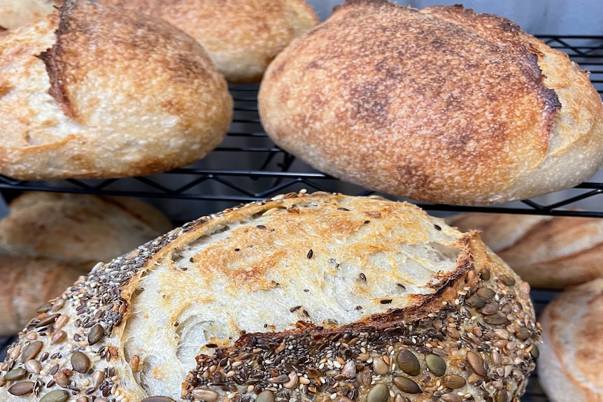 A close up image of a loaf of bread with seeds on top