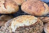 A close up image of a loaf of bread with seeds on top