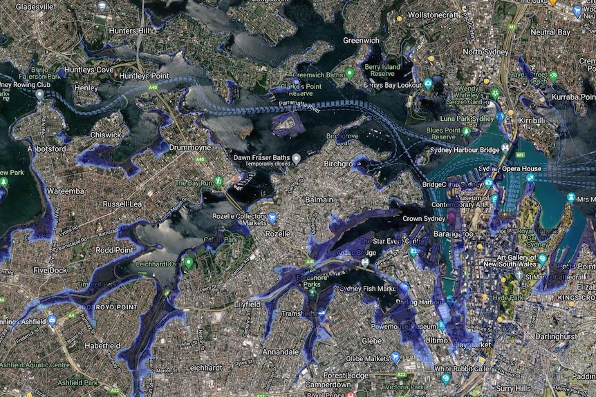 A map of Sydney harbour, with areas around the harbour shaded in blue, to represent rising sea levels.