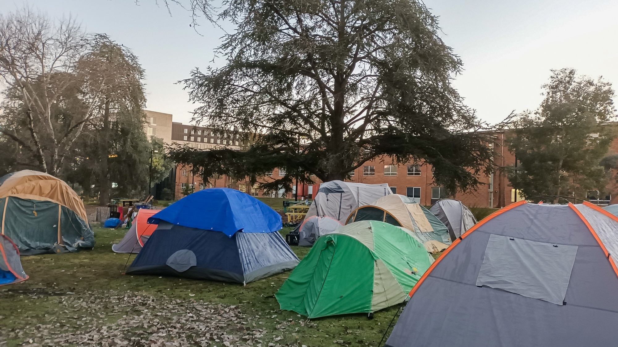 Tents surrounded by buildings at the ANU campus.
