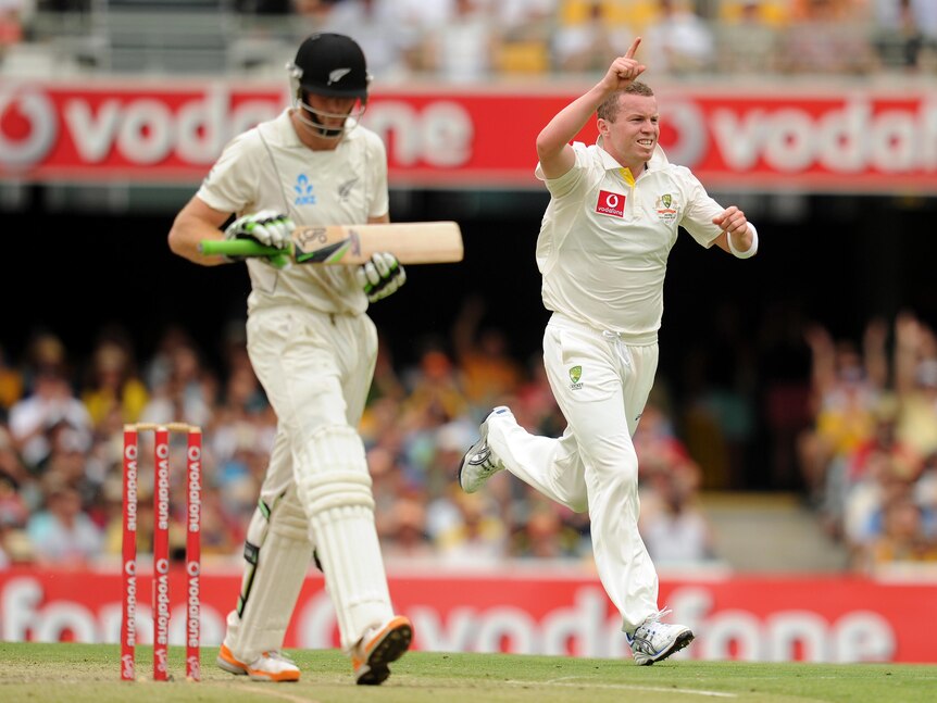 Peter Siddle celebrates dismissing New Zealand batsman Martin Gutptill.