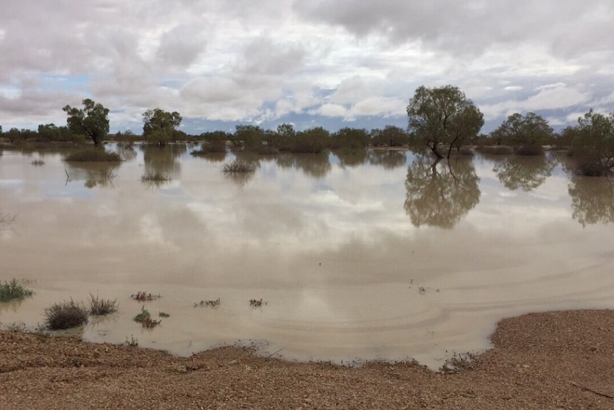 Flooding after rain in Birdsville.