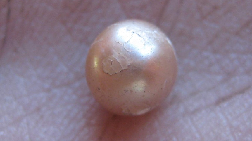 Lustre still bright on ancient pearl