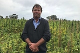 Industrial Hemp Association of Tasmania president Tim Schmidt