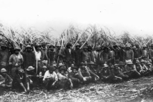 Black-and-white image of South Sea Islanders grouped together in cane fields in North Queensland.