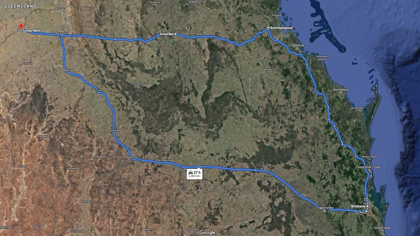 Stowaway cat P-Puss took a 2500 km round trip from Longreach to Brisbane