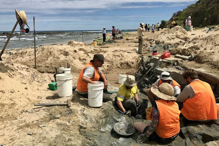 Mechatronics engineering students dig on a beach near Cape Otway.