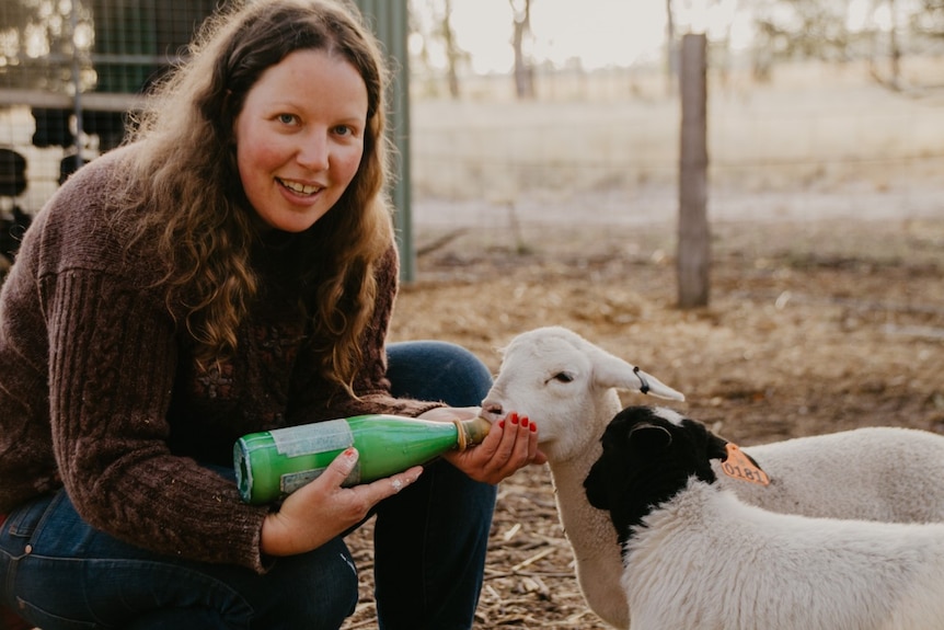 WWOOFer bottle feeds lamb