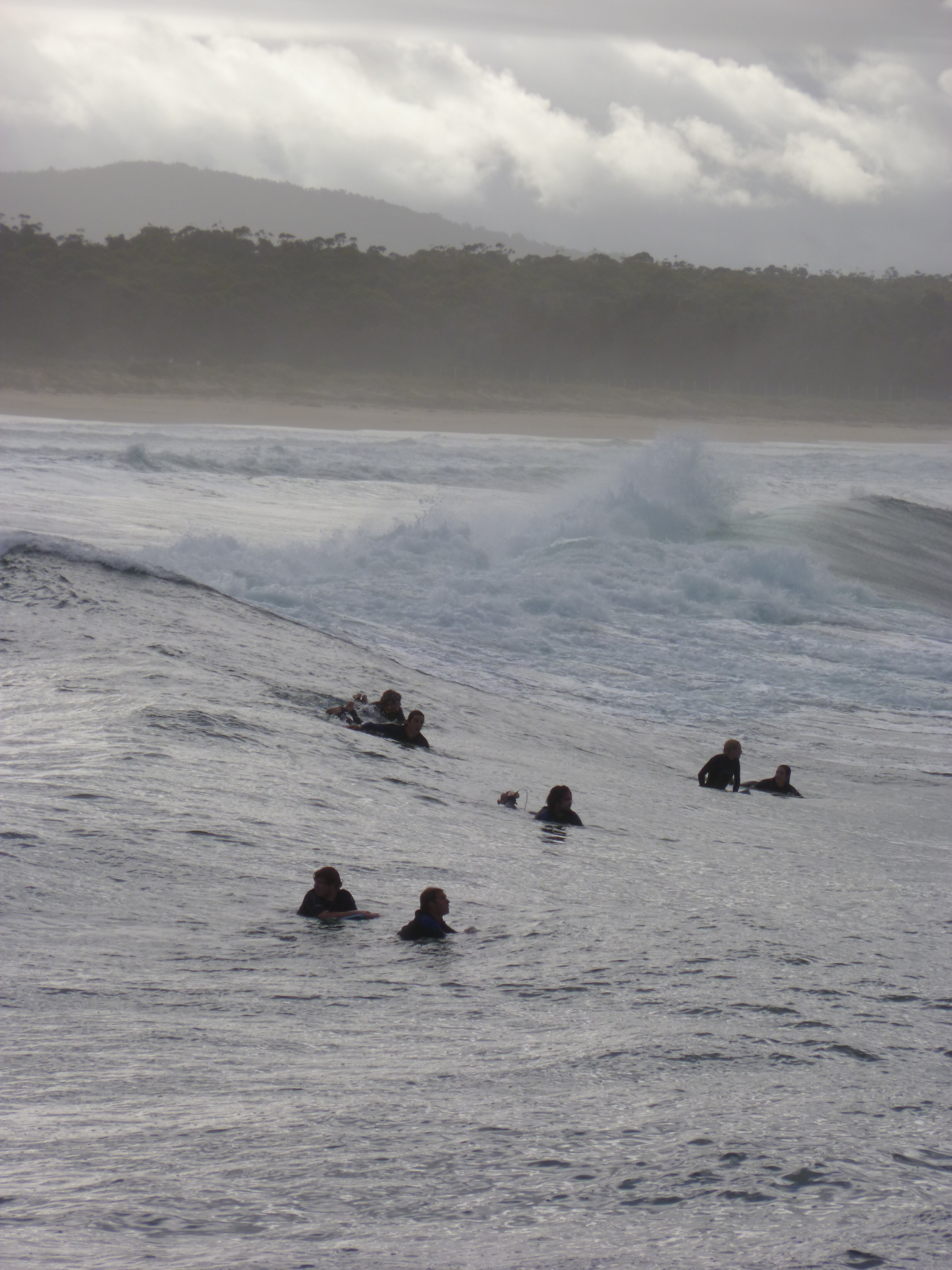 Shark attack on NSW far-north coast leaves surfer hospitalised - ABC Radio