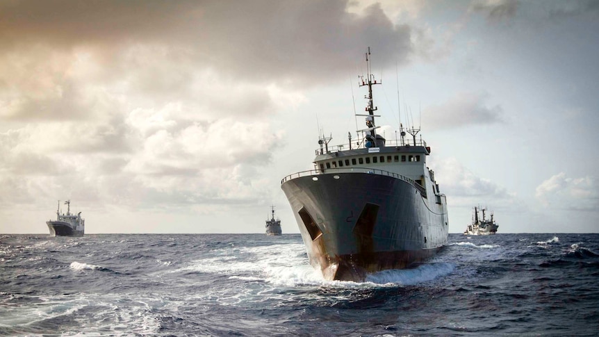 A large fishing vessel in the Southern Ocean, with three other boats behind it.