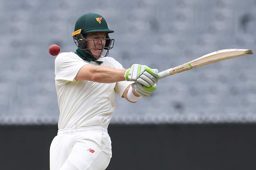 Tim Paine swings a pull shot in the Sheffield Shield