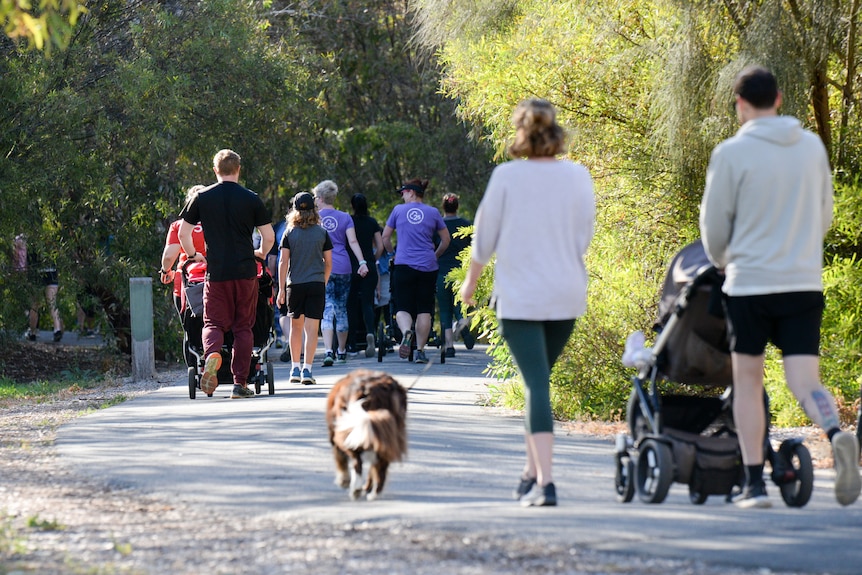 A group of people walking on a path with dogs and prams.
