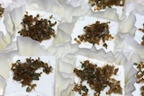 Goat cheese topped with green ants.