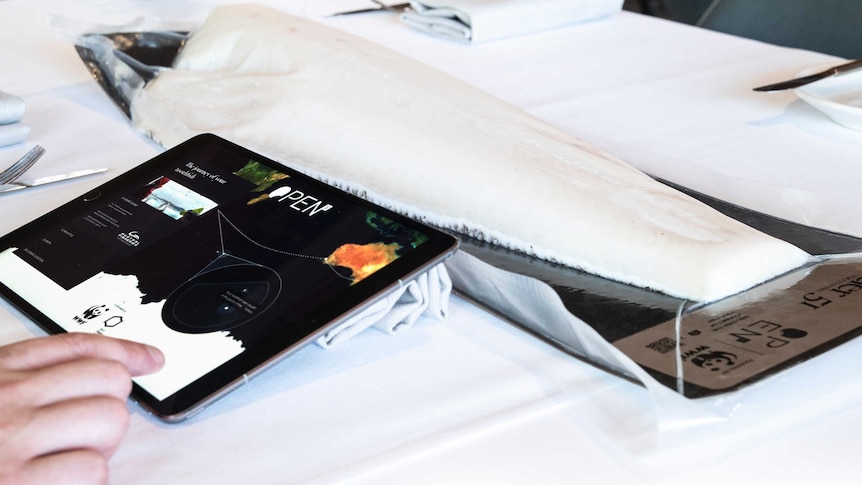 An iPad sits next to a fillet of fish on a table with a white table cloth. The iPad displays a tracking device.